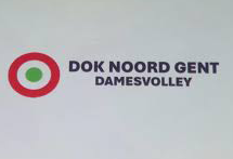 damesvolleybal