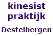 dekinesist